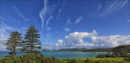 Lord Howe Island - NSW T (PBH4 00 11768)